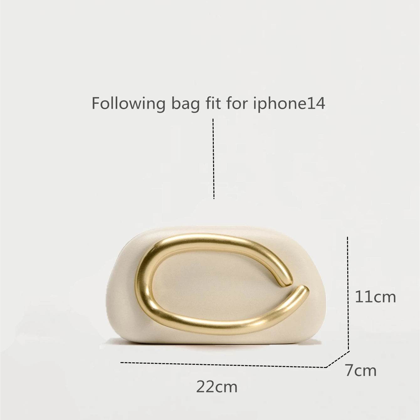 Gold Metal Closure Box Clutch Bag - Dressect